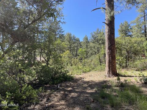 5155 N Walnut Dr, Pine, AZ 85544 photo 31