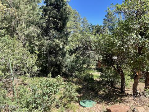 5155 N Walnut Dr, Pine, AZ 85544 photo 21