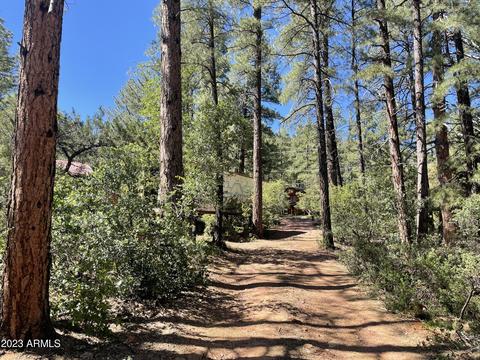 5155 N Walnut Dr, Pine, AZ 85544 photo 23
