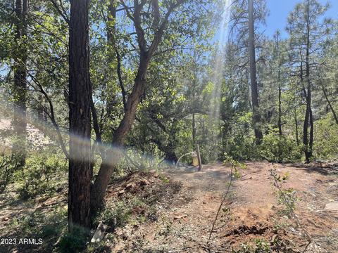 5155 N Walnut Dr, Pine, AZ 85544 photo 28