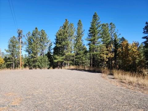 2726 Well Water Rd #330, Happy Jack, AZ 86024
