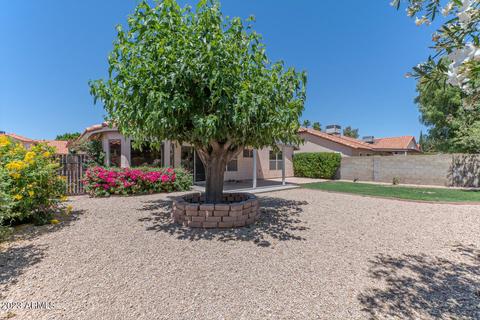 3513 E Sequoia Dr, Phoenix, AZ 85050 photo 25