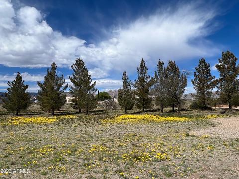 351 E Fargo St, Pearce, AZ 85625 photo 37