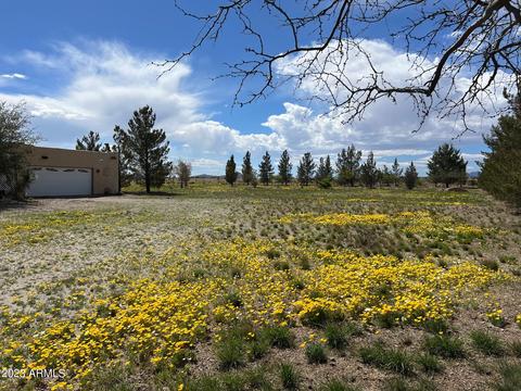 351 E Fargo St, Pearce, AZ 85625 photo 38
