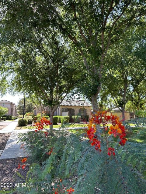 3737 E Hans Dr, Gilbert, AZ 85296 photo 39