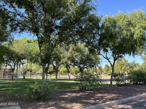 3737 E Hans Dr, Gilbert, AZ 85296 photo 36