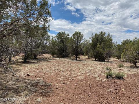 407 W Mesa Dr #22, Ash Fork, AZ 86320