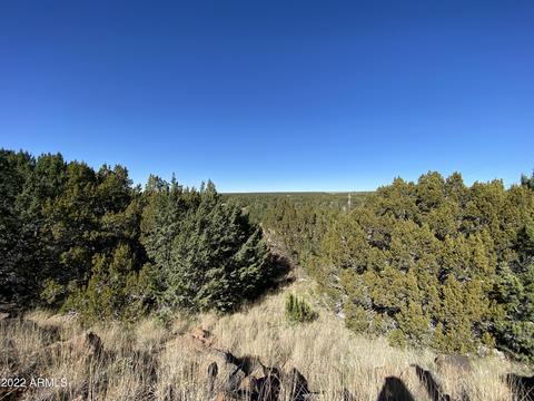 8744 Silver Creek Dr #133, Show Low, AZ 85901