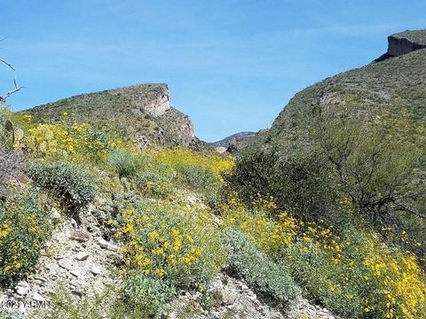 MM 156 S Highway 77 -- #1, Globe, AZ 85501