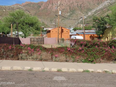 60 N Lobb Ave #15, Superior, AZ 85173
