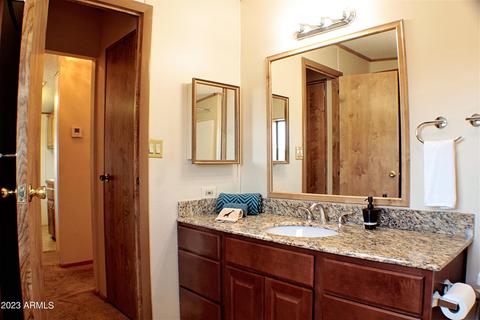 2918 E Oraibi Dr, Phoenix, AZ 85050 photo 28