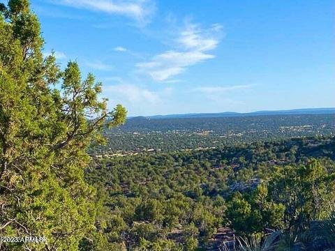 9338 Bluebell Ln #-, Show Low, AZ 85901