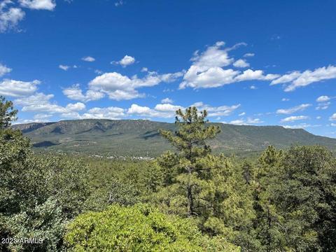 3529 N Kevin Dr #10, Pine, AZ 85544