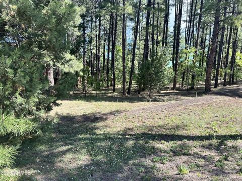 lot60 E Pebble Creek Ln #60, Pinetop, AZ 85929
