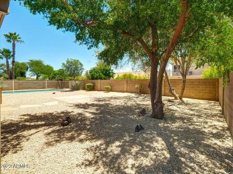 4019 E Hamblin Dr, Phoenix, AZ 85050 photo 50