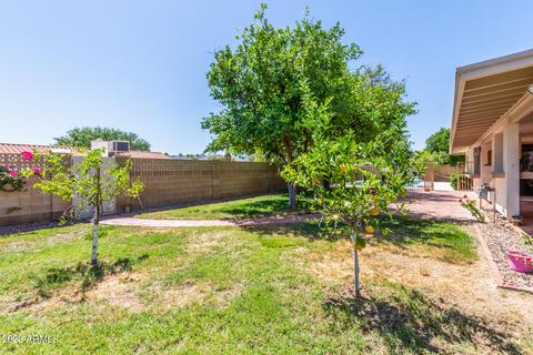 10041 N 25th St, Phoenix, AZ 85028 photo 31