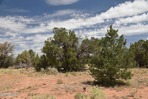 4615 N Alta Villa Rd #55, Williams, AZ 86046