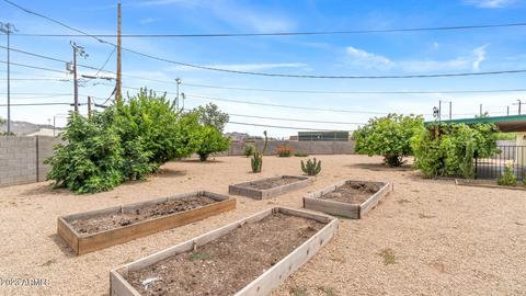 2829 E Mercer Ln, Phoenix, AZ 85028 photo 22