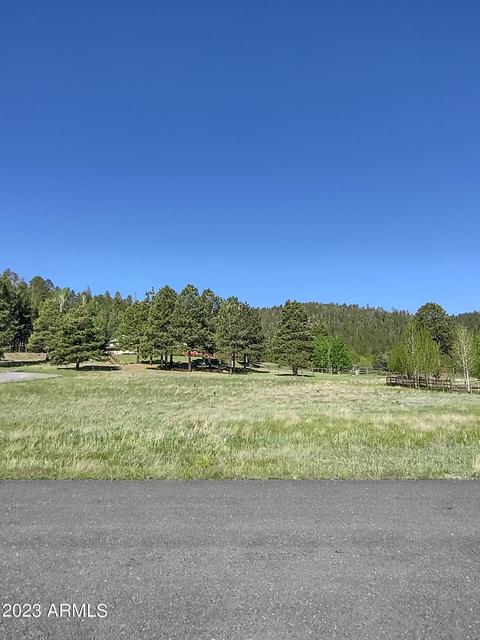 9 Rohrer Rd #5, Greer, AZ 85927