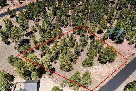 2458 Pinon Cir #29, Happy Jack, AZ 86024