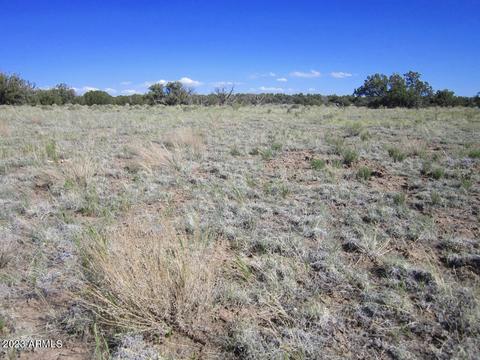 APN 206-30-222 -- #222, Chambers, AZ 86502