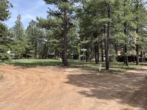 582 Mossy Trl #10, Mormon Lake, AZ 86038
