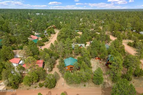 2923 Breezy Pine Dr, Overgaard, AZ 85933 photo 29