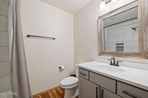 2923 Breezy Pine Dr, Overgaard, AZ 85933 photo 14
