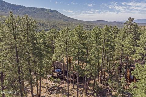 5155 N Juniper Loop, Pine, AZ 85544 photo 44