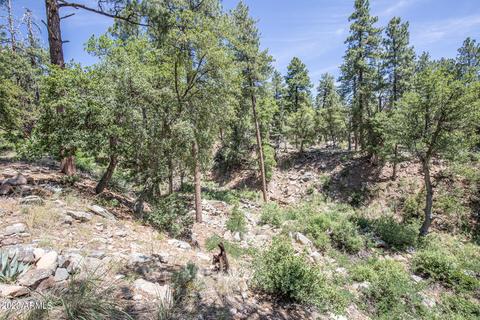 5155 N Juniper Loop, Pine, AZ 85544 photo 34