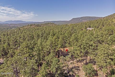 5155 N Juniper Loop, Pine, AZ 85544 photo 45