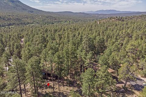 5155 N Juniper Loop, Pine, AZ 85544 photo 42