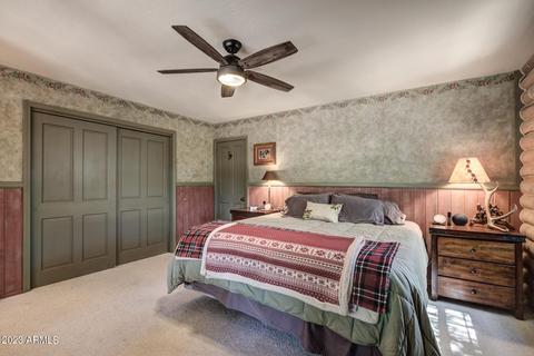 5155 N Juniper Loop, Pine, AZ 85544 photo 17