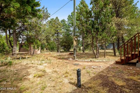 2977 Hunters Rd, Overgaard, AZ 85933 photo 17