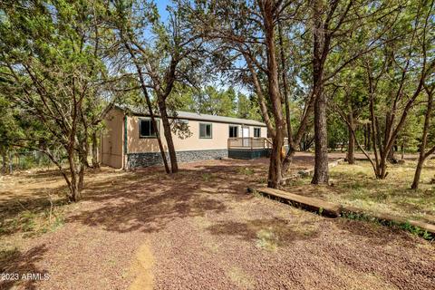 2977 Hunters Rd, Overgaard, AZ 85933 photo 3
