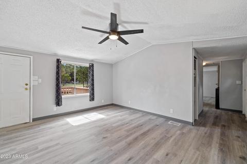 2977 Hunters Rd, Overgaard, AZ 85933 photo 7