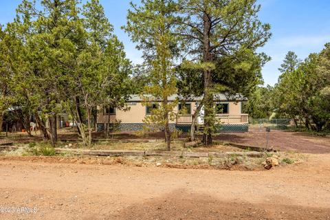 2977 Hunters Rd, Overgaard, AZ 85933 photo 2