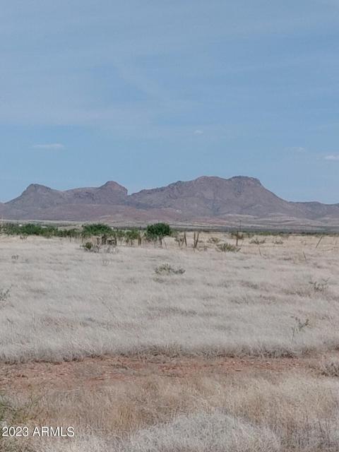 tbd E Cll Francisco -- #82 AND 81, Douglas, AZ 85067 photo 5