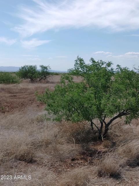 tbd E Cll Francisco -- #82 AND 81, Douglas, AZ 85067 photo 10