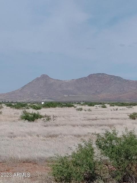 tbd E Cll Francisco -- #82 AND 81, Douglas, AZ 85067