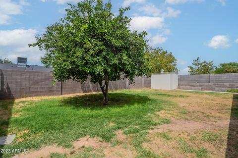 8124 E Iran Ave, Mesa, AZ 85208 photo 37
