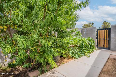 8124 E Iran Ave, Mesa, AZ 85208 photo 40