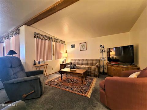 8700 E University Dr #256, Mesa, AZ 85207 photo 22