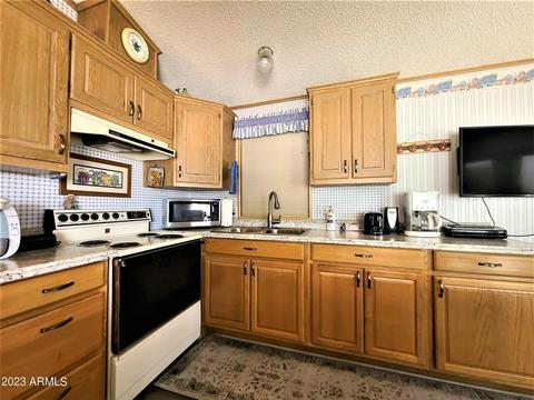 8700 E University Dr #256, Mesa, AZ 85207 photo 3