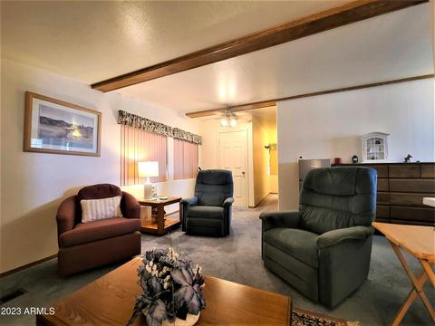 8700 E University Dr #256, Mesa, AZ 85207 photo 24