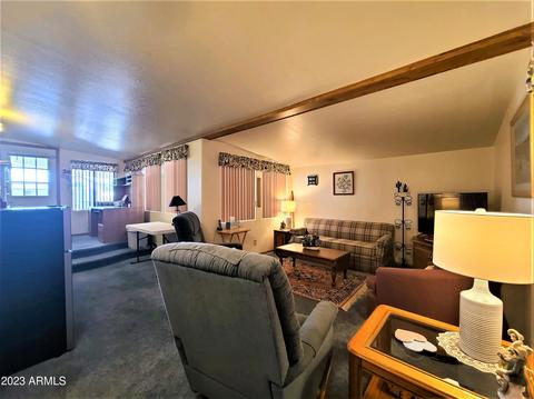 8700 E University Dr #256, Mesa, AZ 85207 photo 5