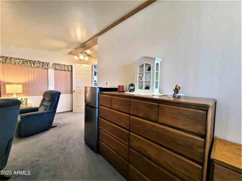 8700 E University Dr #256, Mesa, AZ 85207 photo 21