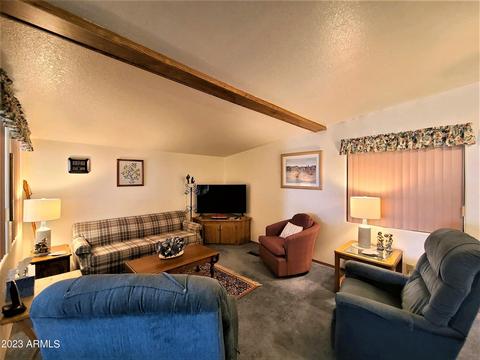 8700 E University Dr #256, Mesa, AZ 85207 photo 4