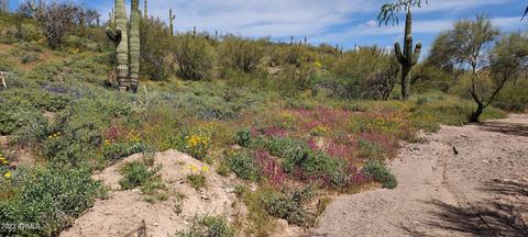 47305 N Quiet Hills Dr #-, Morristown, AZ 85342