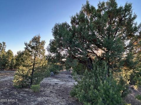 lot26 Uphill Trl #26, Vernon, AZ 85940